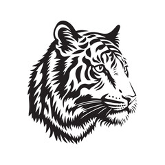 Tiger head vector illustration on a white background. Vintage tiger illustration
