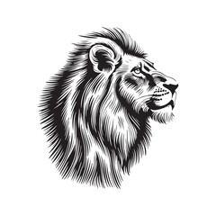 Lion head vector illustration on a white background. Vintage lion illustration