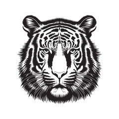 Tiger head vector illustration on a white background. Vintage tiger illustration