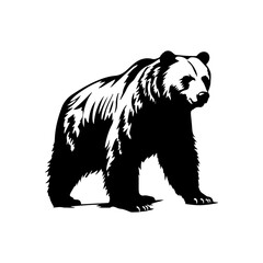 bear silhouette illustration