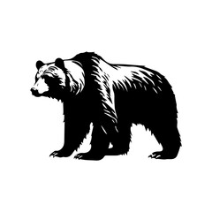 Plakat bear silhouette illustration