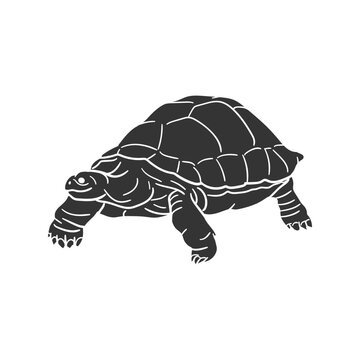 recommend clip art: Turtle Icon Silhouette Illustration. All Terrain Tortoise Vector Graphic Pictogram Symbol Clip Art. Doodle Sketch Black Sign.