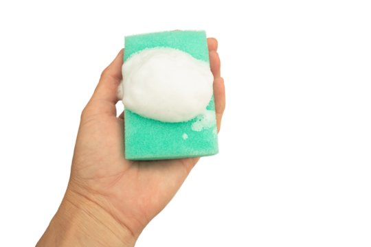A woman's hand holds a green sponge with soapy foam isolated on a transparent background.