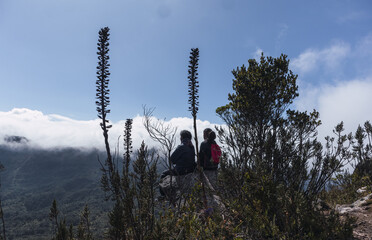 Rest in Harmony: Couple Admiring the Mountainous Landscape in the Paramo Forest near Bogotá