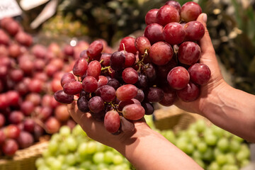 The woman holds bunch of grapes in the store or in the market, close up.
