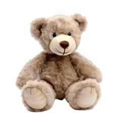 Foto op Plexiglas Cute brown teddy bear stuffed animal isolated on a transparent background © 016Graphics