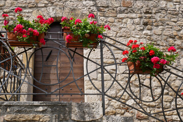 Fototapeta na wymiar In the foreground, flower boxes with red geraniums