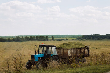 Tractor carries a harvested crop in a trailer against the background of a field, forest and cloudy sky. Agriculture background. Crop. Harvest season.