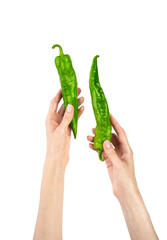 Green chili pepper in female hand isolated on white background.