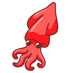 squid octopus