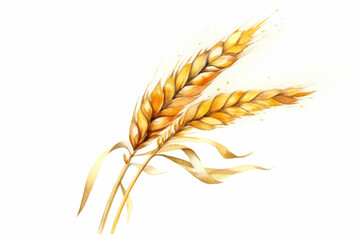 Watercolor Wheat ears on white background. Generative ai illustration of gold wheat ear