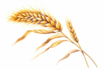 Watercolor Wheat ears on white background. Generative ai illustration of gold wheat ear - obrazy, fototapety, plakaty