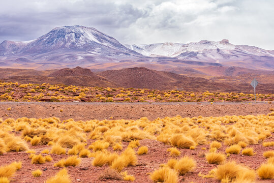 Snowy mountains and dry prairie of Piedras Rojas valley in Atacama desert