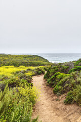 California way to the ocean