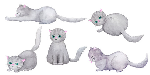 A set of cute fluffy gray cats in different poses. Collection of watercolor illustrations on the theme of pets..