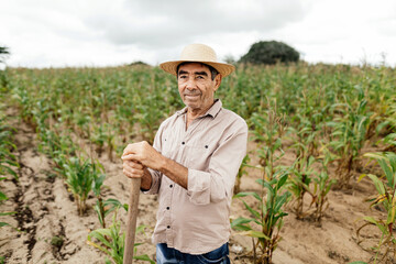 A Brazilian farmer standing tall in a vibrant cornfield, embodying the spirit of rural life.