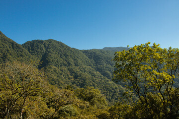 Fototapeta na wymiar Visão aérea da serra curitibana com visão das montanhas e da flora no Paraná Brasil. 