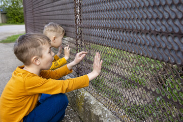 A happy child communicates with a small puppy dog through the fence of a neighbor's house. The concept of friendship between animals and children