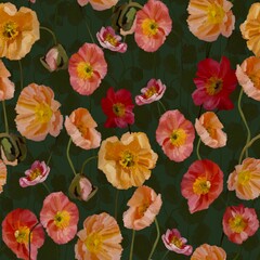 Poppies on an dark green background