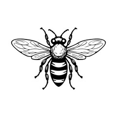 bee silhouette illustration