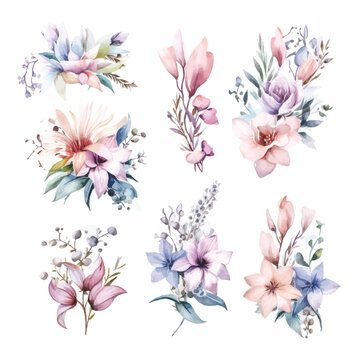 Soft Pastel Watercolor Florals: Fairy Arrangements on Transparent Background for Digital Art