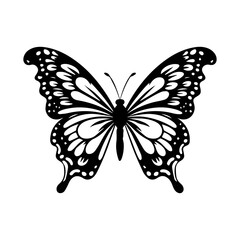 Butterfly silhouette illustration