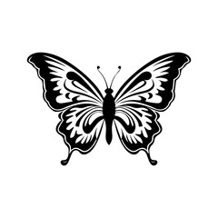 butterfly silhouette illustration 