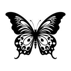 Butterfly silhouette illustration
