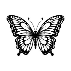 Butterfly silhouette illustration