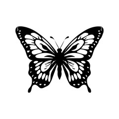 Butterfly silhouette illustration