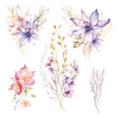 Whimsical Floral Watercolors: Fairy Clipart with Transparent Background for Artistic Designs