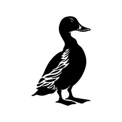 Duck silhouette illustration