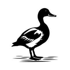 Duck silhouette illustration