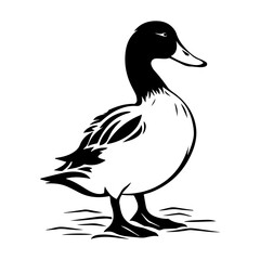 Duck silhouette illustration