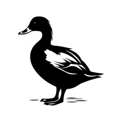 Duck silhouette illustration