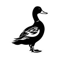 Duck silhouette illustration