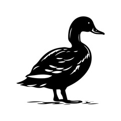 Duck silhouette illustration