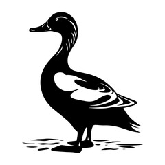 Duck silhouette illustration