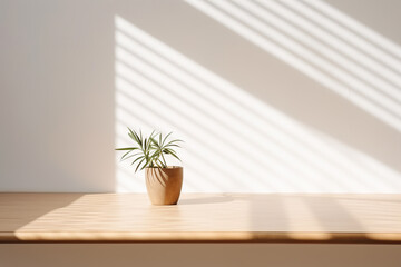 Fototapeta na wymiar Table shadow background. Wooden table and white empty wall with plant shadows