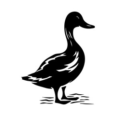 Duck silhouette illustration