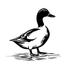 Duck silhouette illustration
