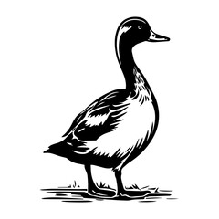 Duck silhouette illustration