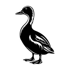 Duck silhouette illustration
