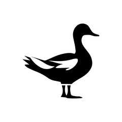 Obraz premium Duck silhouette illustration