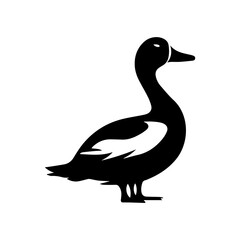 Duck silhouette illustration