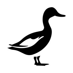 Duck silhouette illustration