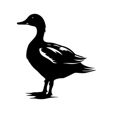 Duck silhouette illustration