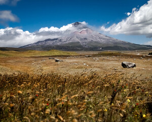Thin straw in movement, caused by strong winds, at the Cotopaxi National Park, with the Cotopaxi volcano in the background, Ecuador. ND filters were used to capture cloud and straw movement.