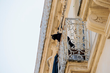 A black cat looks at the street from a balcony with wrought iron railings in the downtown of the French city of Montpellier, France - obrazy, fototapety, plakaty