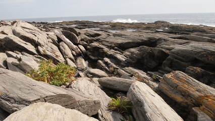 Monolithic gray rock formation by the Maine coast